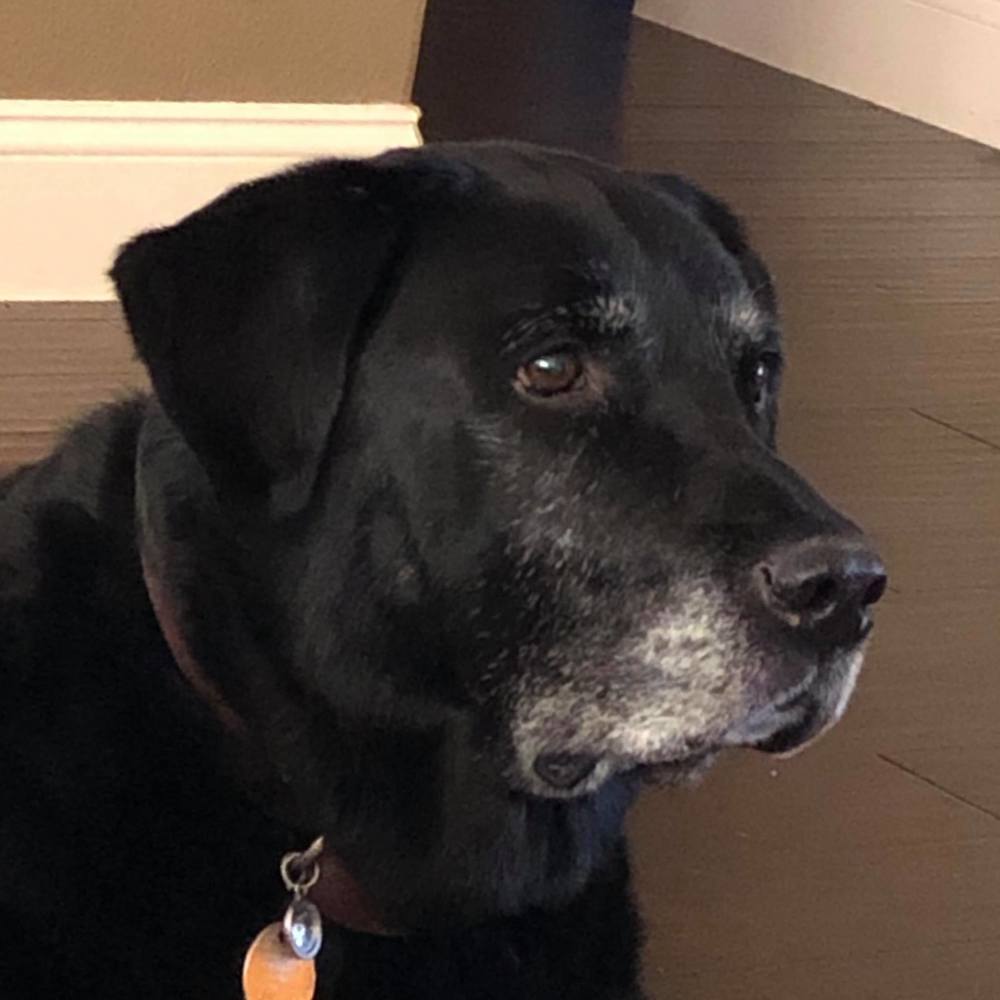 Meet your Posher, Kathryn